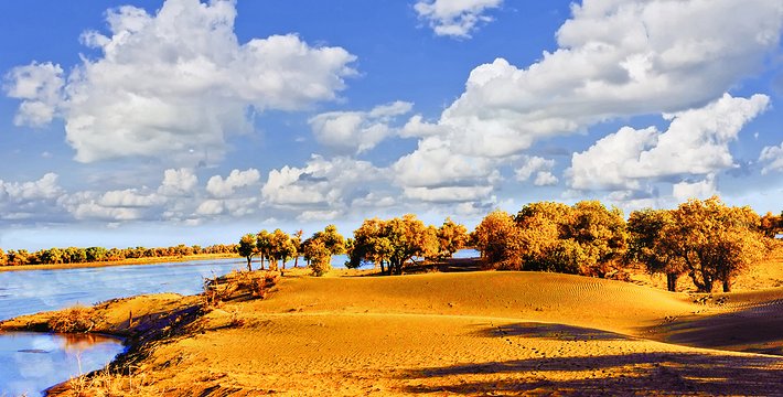 額濟納旗弱水·金沙灣風景區