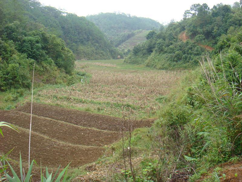 螞蟻寨自然村