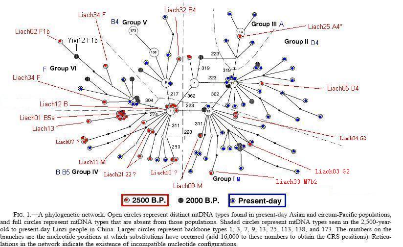 臨淄2500年前的遺骸的mtDNA分型