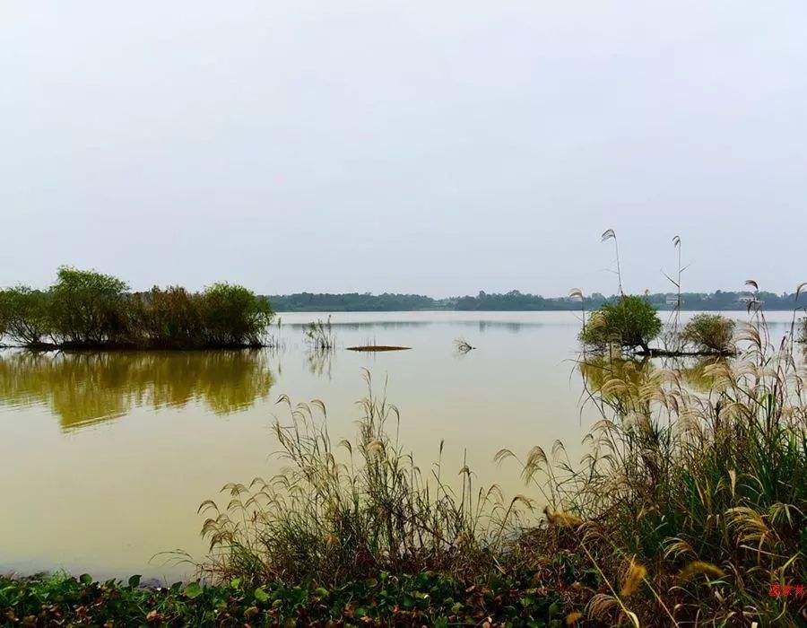 湖南黃家湖國家濕地公園