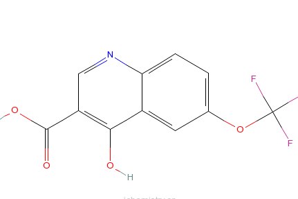 4-羥基-6-（三氟甲氧基）喹啉-3-羧酸