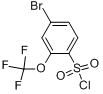 4-溴-2-三氟甲氧基苯-1-磺醯氯