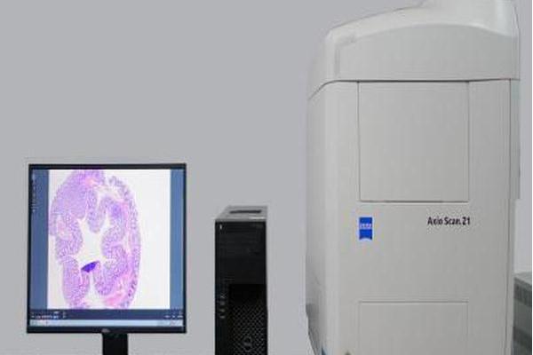 全自動組織切片分析系統
