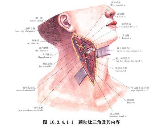 下頜升支前緣去骨術