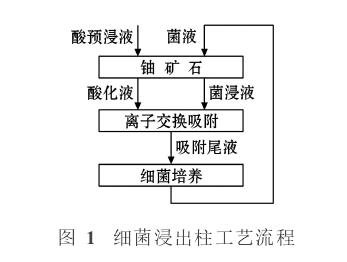 細菌浸出柱工藝流程