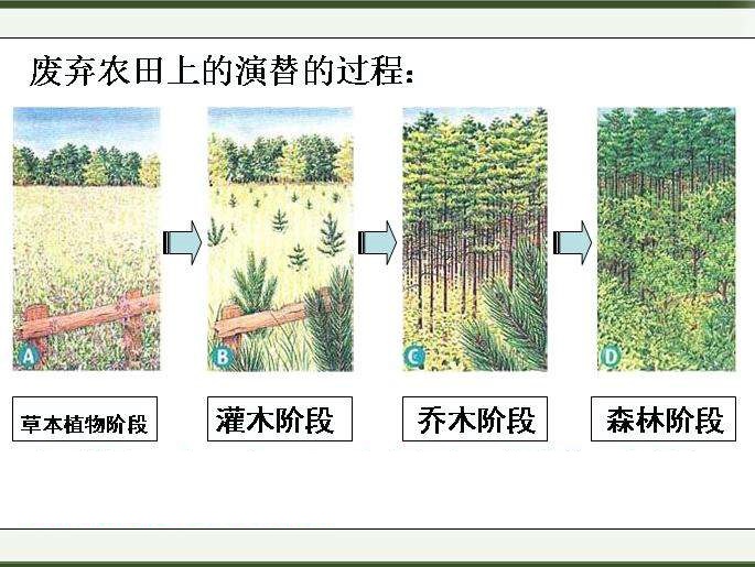 生態演替