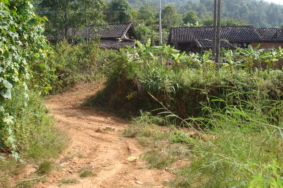 酸香樹自然村