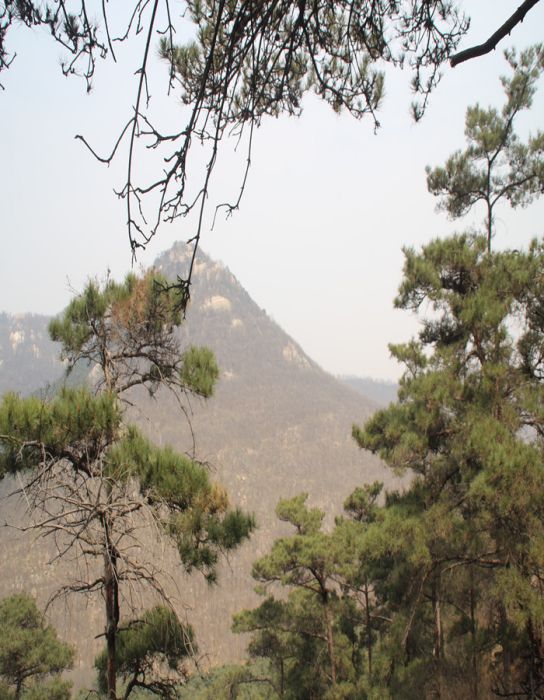 山東尼山國家森林公園