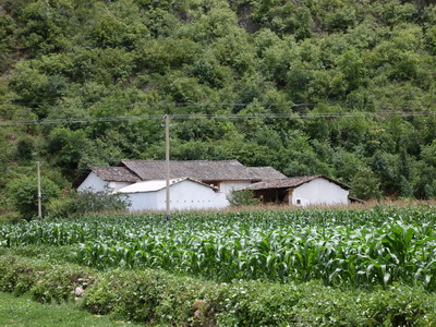 野豬沖村