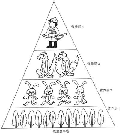 能量金字塔