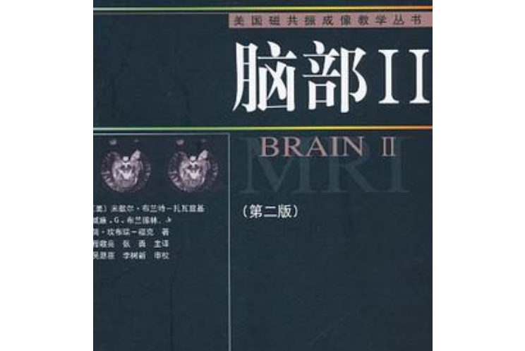 腦部II(2006年河南科學技術出版社出版的圖書)