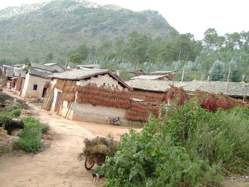 松坡頭老寨村