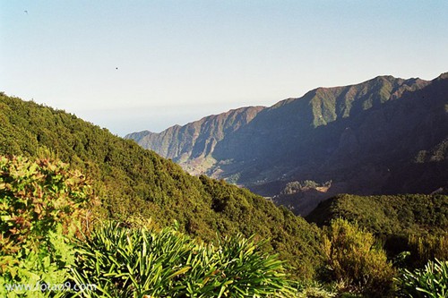 爛泥溝