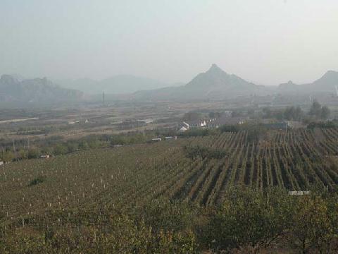 梁家莊村(山東平度縣大澤山鎮下轄村)