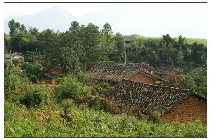 蔣寨村(雲南省保山市龍陵縣勐糯鎮蔣寨村)