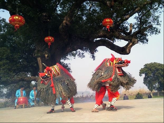 龍游硬頭獅子