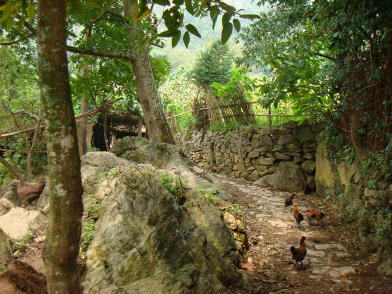 中寨自然村(雲南省文山馬關縣仁和鎮中寨自然村)