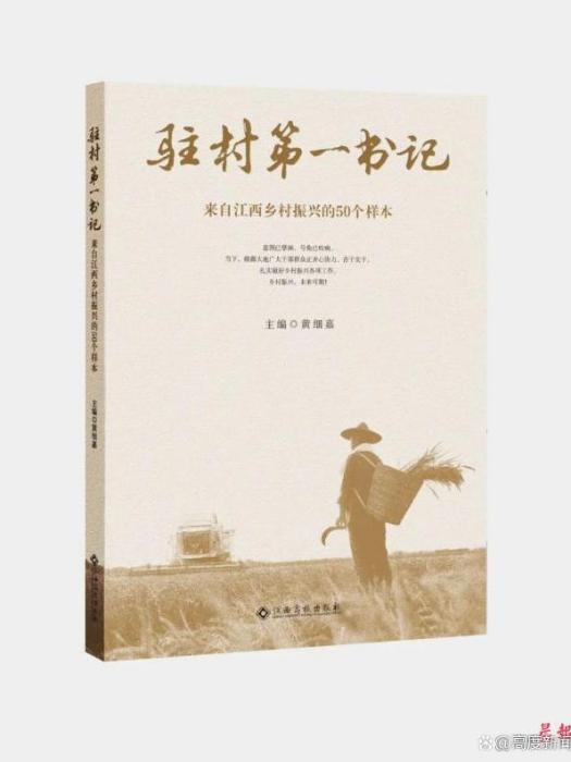 駐村第一書記(2022年江西高校出版社出版的圖書)