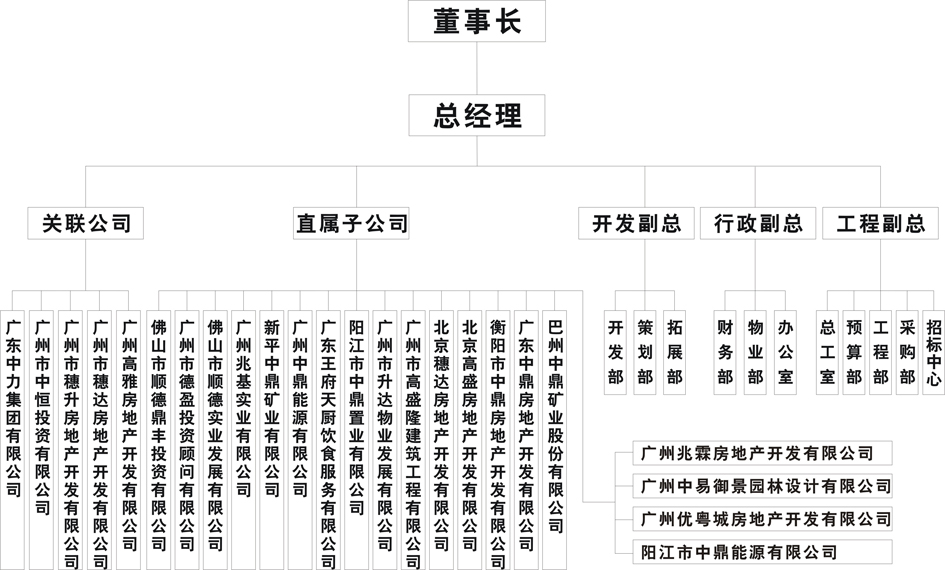 廣東中鼎集團有限公司