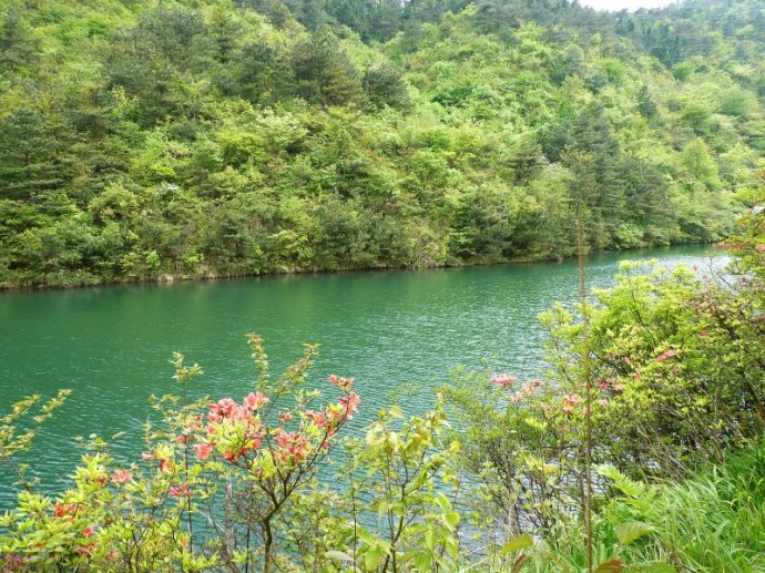 大盤山國家級自然保護區