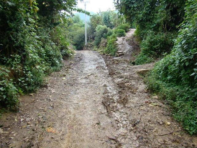 楊柳村(雲南省保山市隆陽區楊柳村)