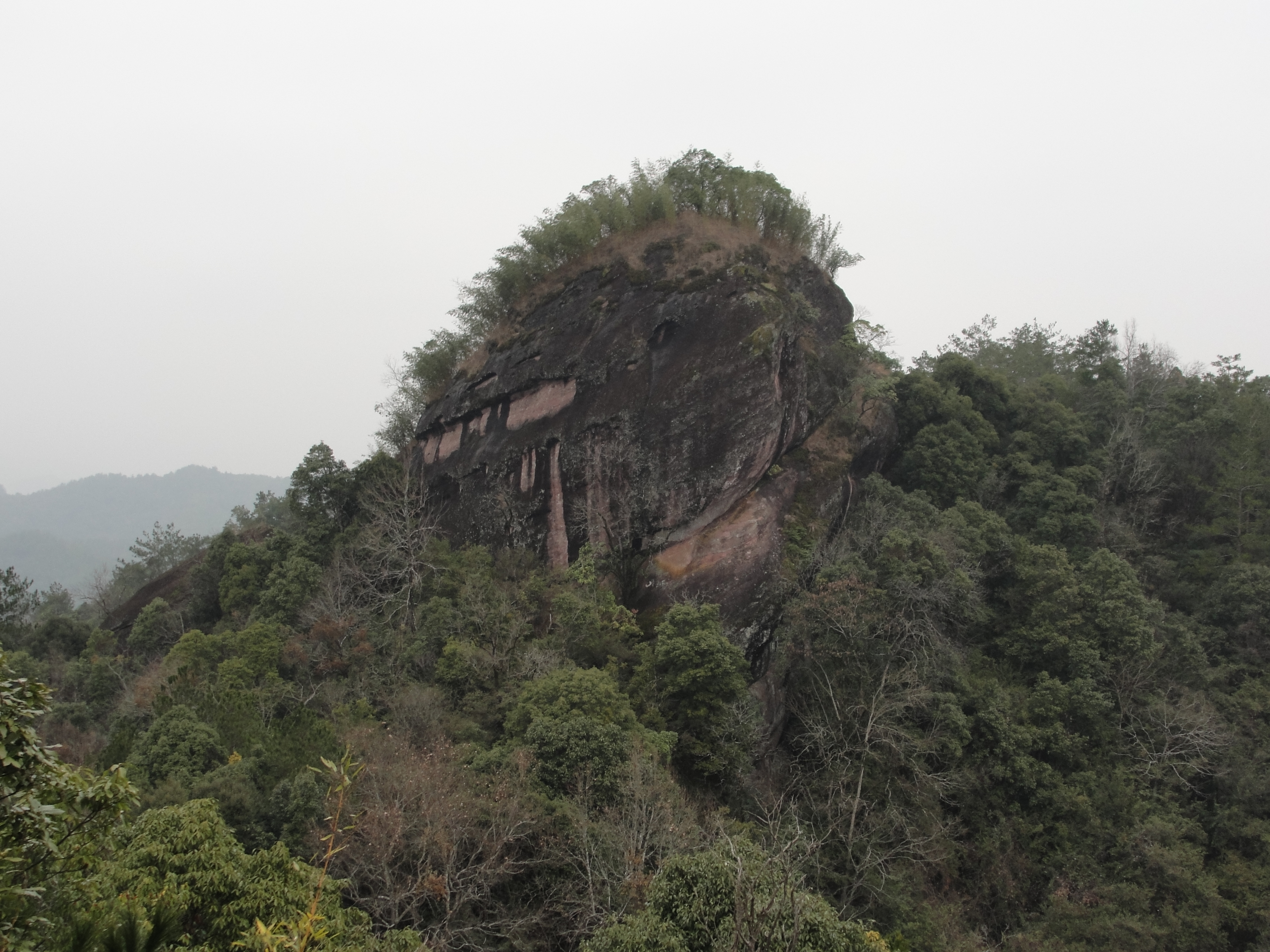 楊城村