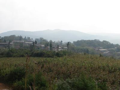 猴子箐村(雲南省臨滄市臨翔區平村鄉下轄村)