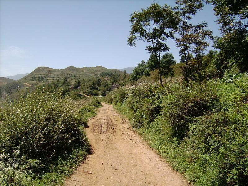 進村道路