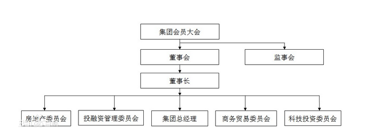 盛迪嘉集團組織架構