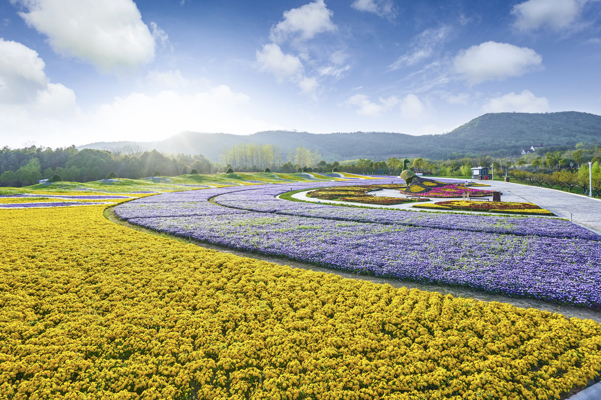 花谷奇緣旅遊度假區