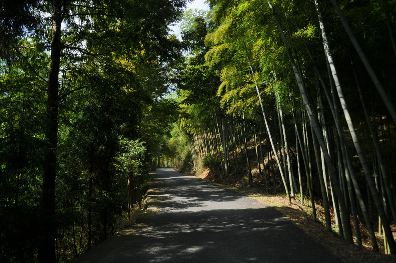 回峰嶺古道