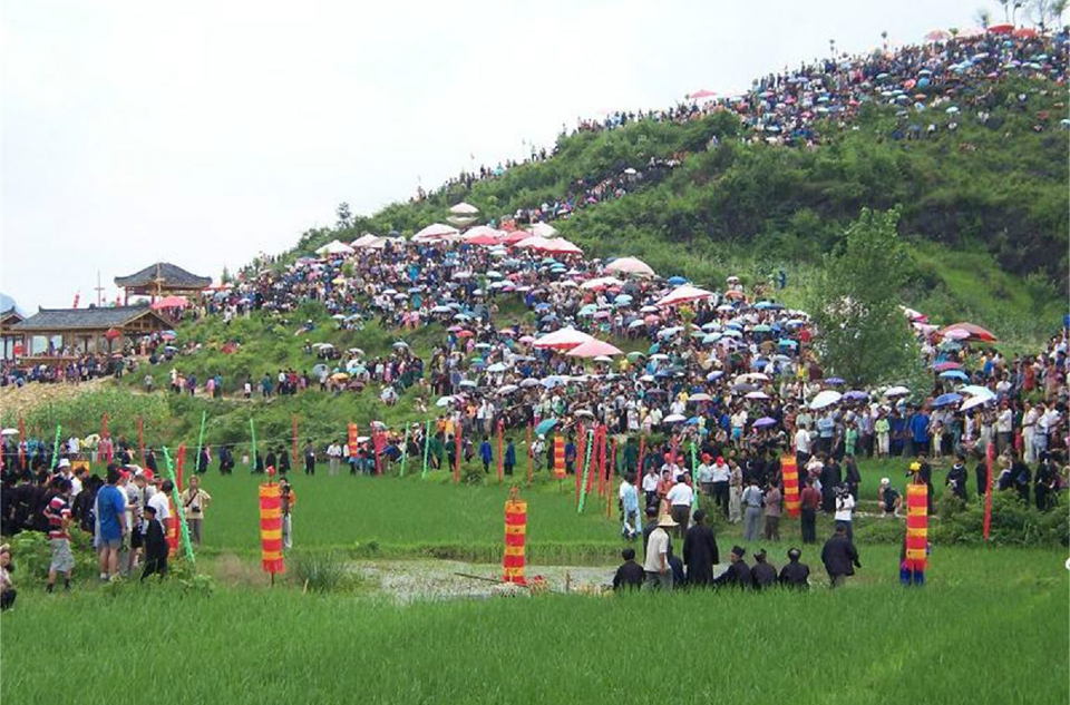 卯節(貴州省黔南布依族苗族自治州節日)