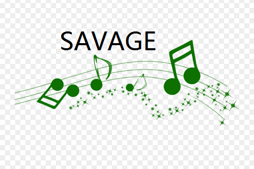 SAVAGE(歌曲)