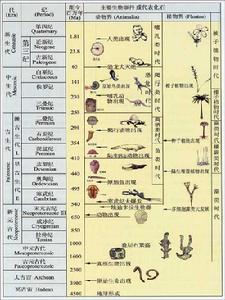 地球地質年代的劃分