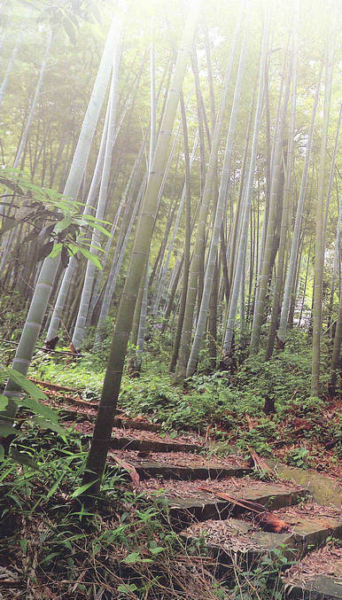 林山嶺古道