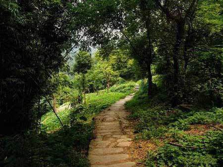 重慶南山風景名勝區