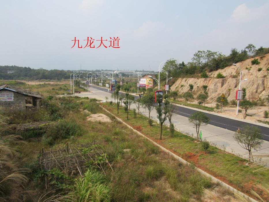 九龍大道(衡山道路)