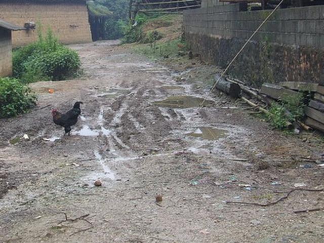 村內道路