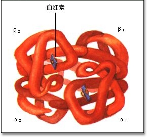 米諾環素(二甲胺四環素)