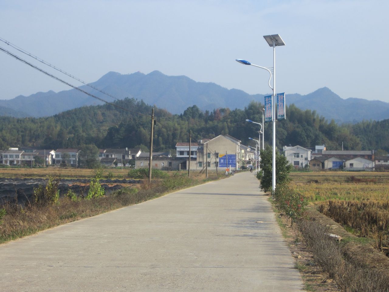 高橋鎮金橋村