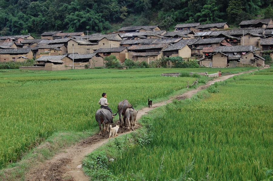 阿基大寨村