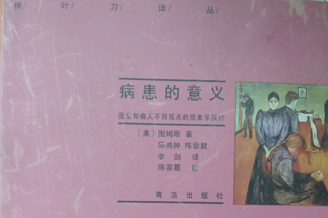 病患的意義(2000年青島出版社出版的圖書)