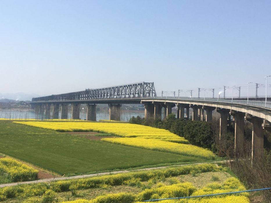 枝城長江大橋(湖北枝城長江大橋)