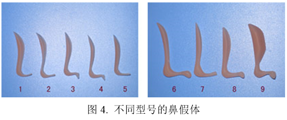 人工鼻骨