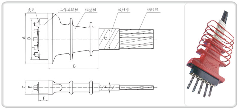 扁型張拉端錨具