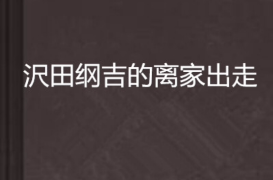 沢田綱吉的離家出走