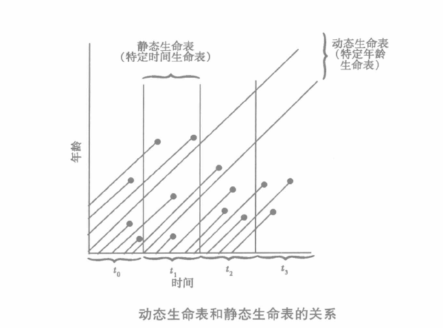 種群參數