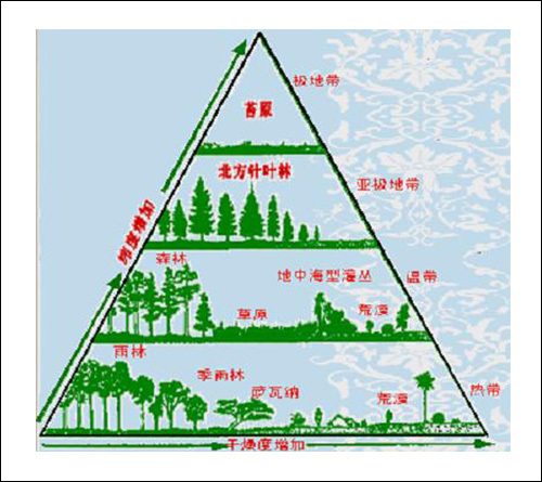 土地生態系統