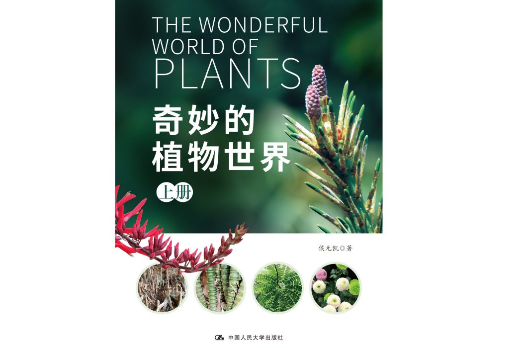 奇妙的植物世界(2021年中國人民大學出版社出版的圖書)