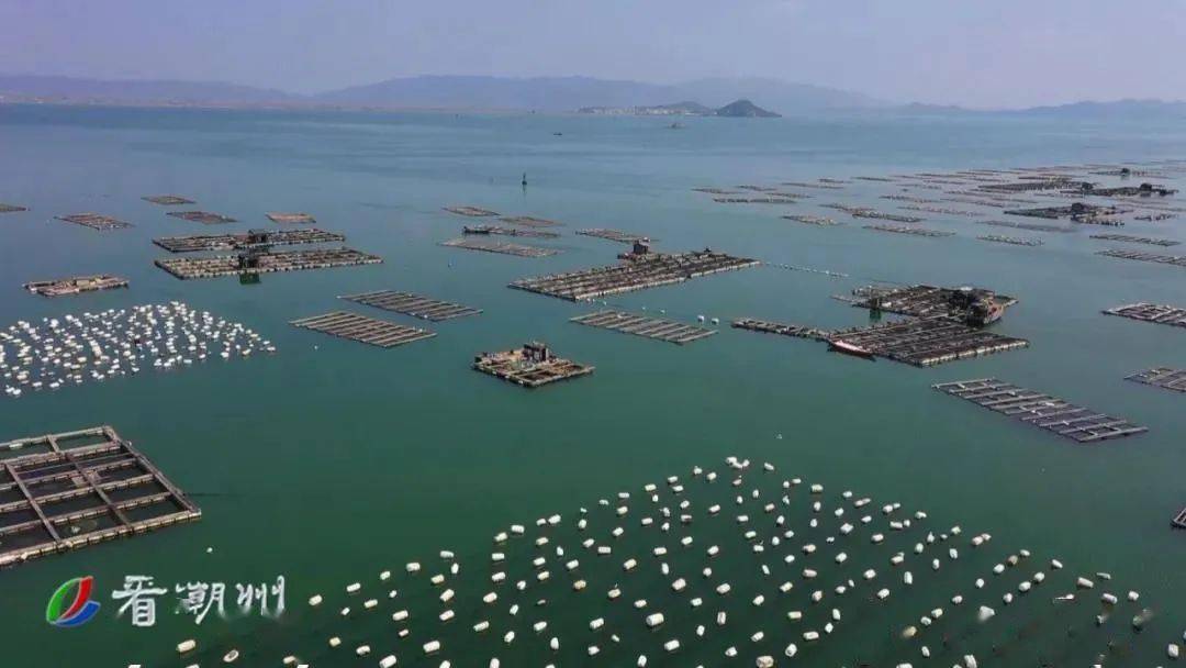 潮州市饒平縣水產產業園